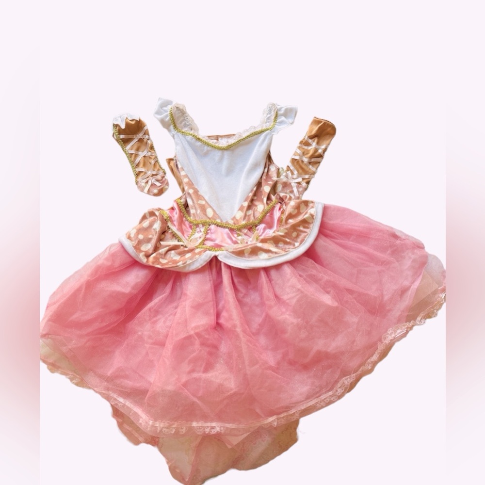 COSTUME:‎ Girls Princess Costume, Size Medium to Large